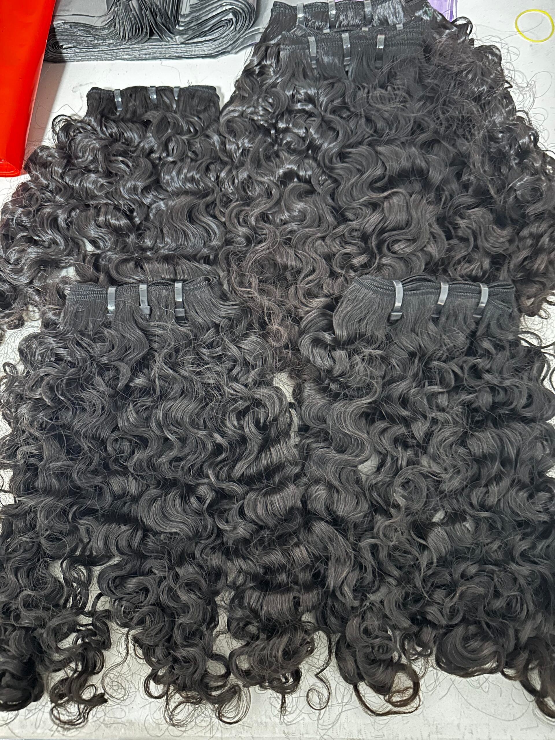 Mandalay Curl (Burmese)